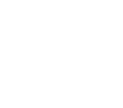Carrick Wealth, Property and Consulting